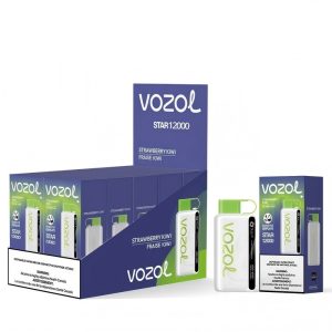 vozol star 12000 vape box of 10